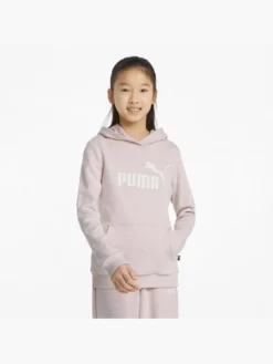 Puma Hoodie -Kleidung Rabatt Geschäft 2015700 H5