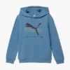 Puma Hoodie