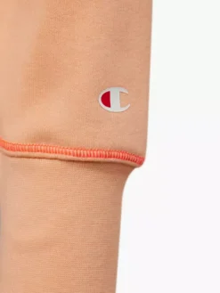 Champion Hoodie -Kleidung Rabatt Geschäft 2180803 H3